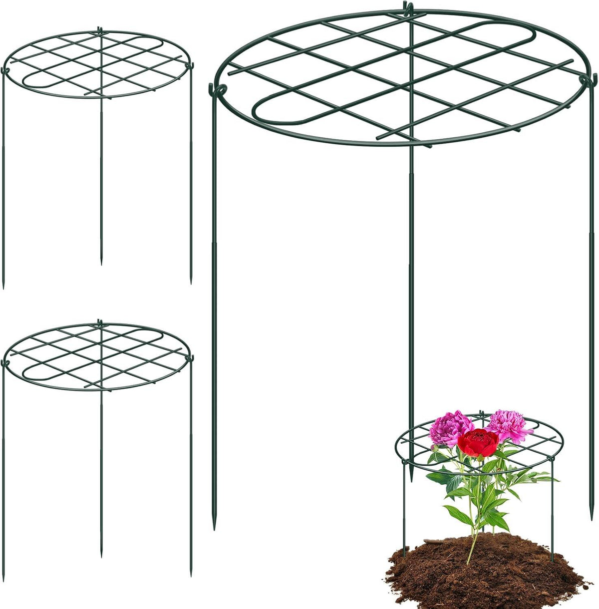 Peony Cages and Supports Grow Through Plant Supports