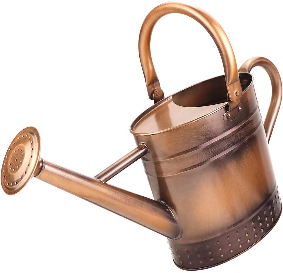 Gallon Metal Watering Can with Removable Spout