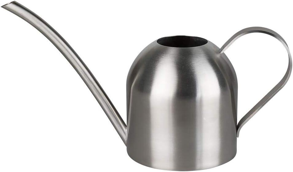 Stainless Steel Water Can for Indoor Plants and Garden
