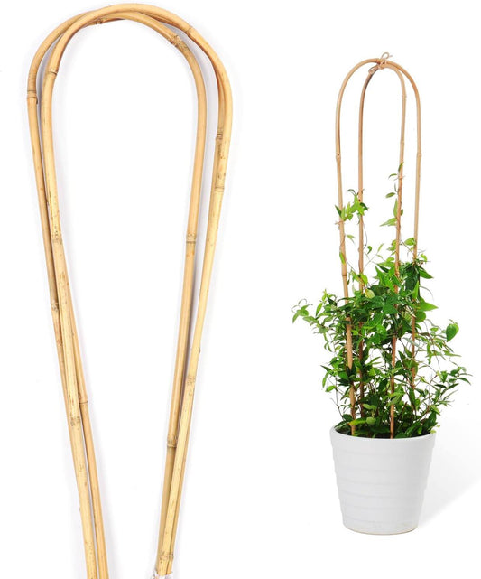 Trellis for Climbing Plants Indoor Outdoor, Natural Bamboo Trellis