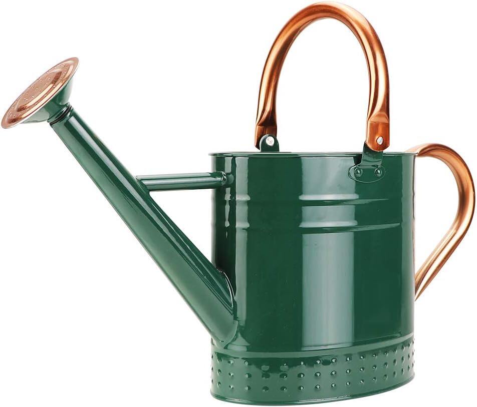 Gallon Metal Watering Can with Removable Spout