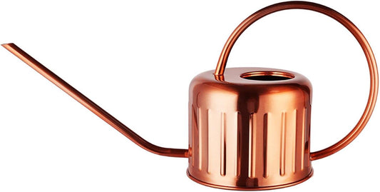 Stainless Steel Watering Can, Rust-Proof Indoor/Outdoor Watering Can